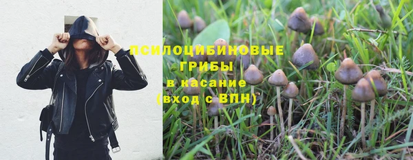 ECSTASY Армянск